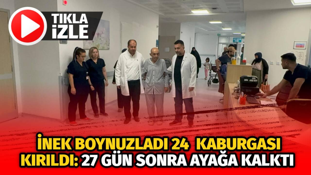 İneğin boynuzlamasıyla ağır yaralanan Özcan Sarısakal, 24 kaburgasının kırıldığı yelken