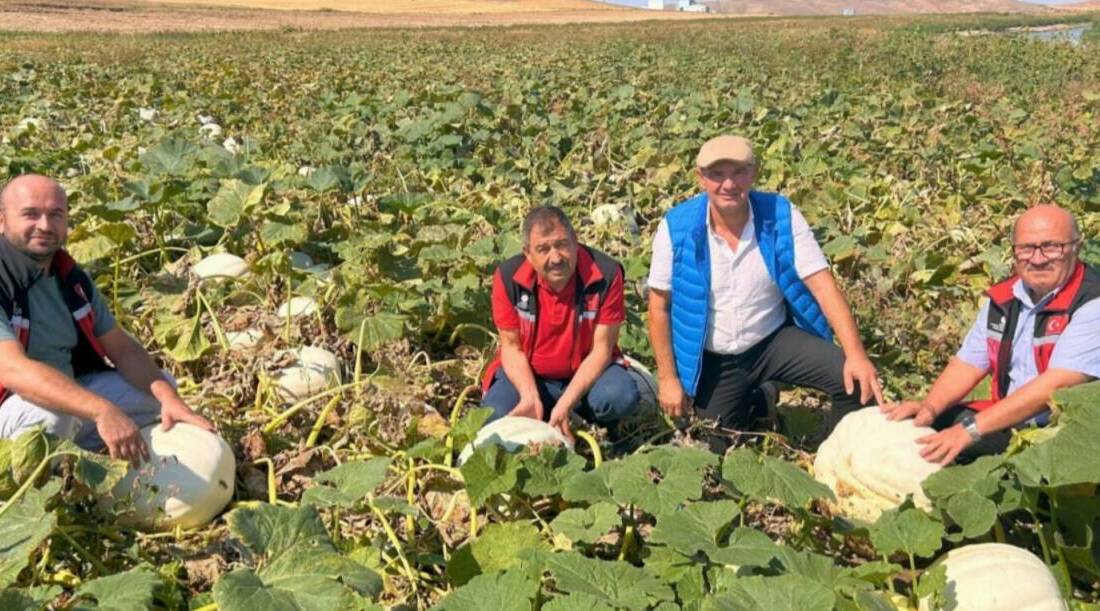 Aksaray Tarım ve Orman İl Müdürlüğü, Sakarya Mısır Araştırma Enstitüsü