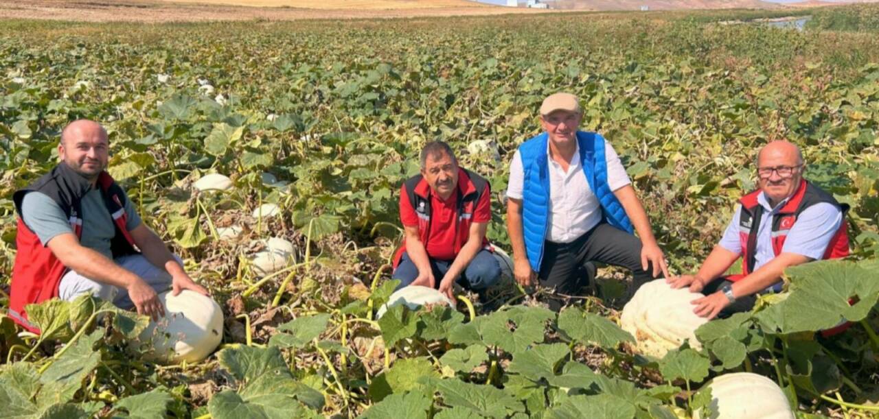 Aksaray Tarım ve Orman İl Müdürlüğü, Sakarya Mısır Araştırma Enstitüsü