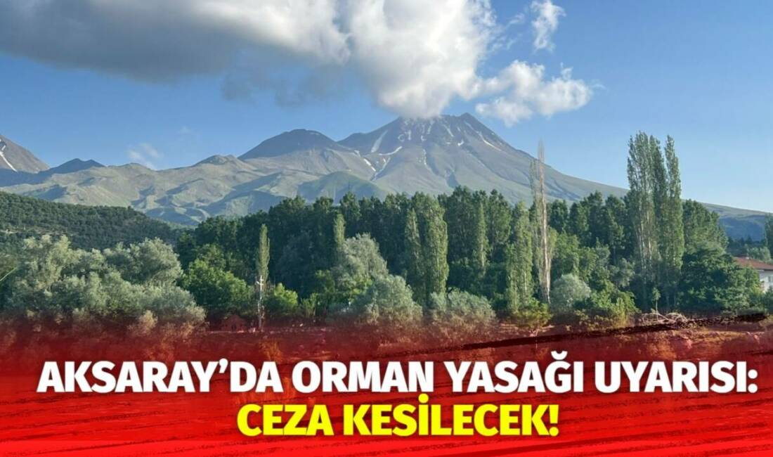 Aksaray Valiliği, hoparlörlerden yaptığı anonsla ormanlara giriş ve ateş yakmanın