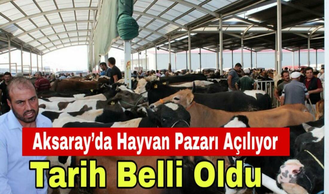 Şap hastalığı nedeniyle kapatılan Aksaray Hayvan Pazarı, aşılama çalışmalarının ardından