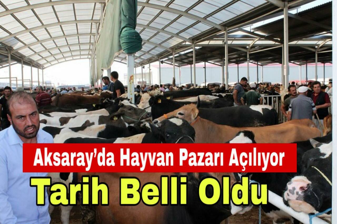 Şap hastalığı nedeniyle kapatılan Aksaray Hayvan Pazarı, aşılama çalışmalarının ardından