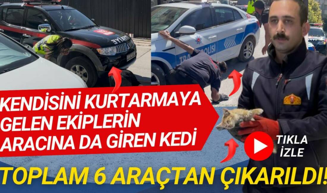 Kalealtı Caddesi’nde 6 farklı araca giren kedi, kendisini kurtarmaya gelen