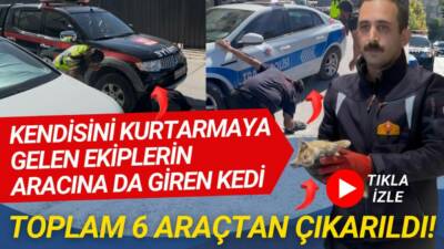 Kalealtı Caddesi’nde 6 farklı araca giren kedi, kendisini kurtarmaya gelen