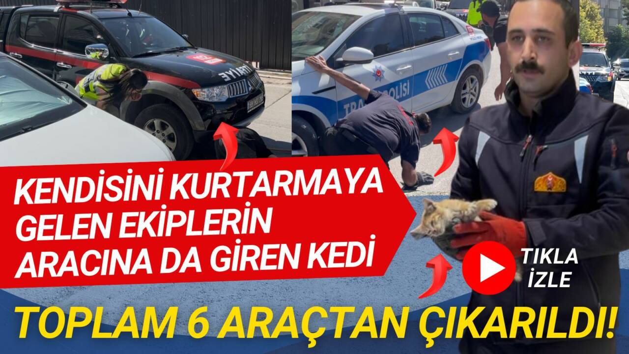 Kalealtı Caddesi’nde 6 farklı araca giren kedi, kendisini kurtarmaya gelen