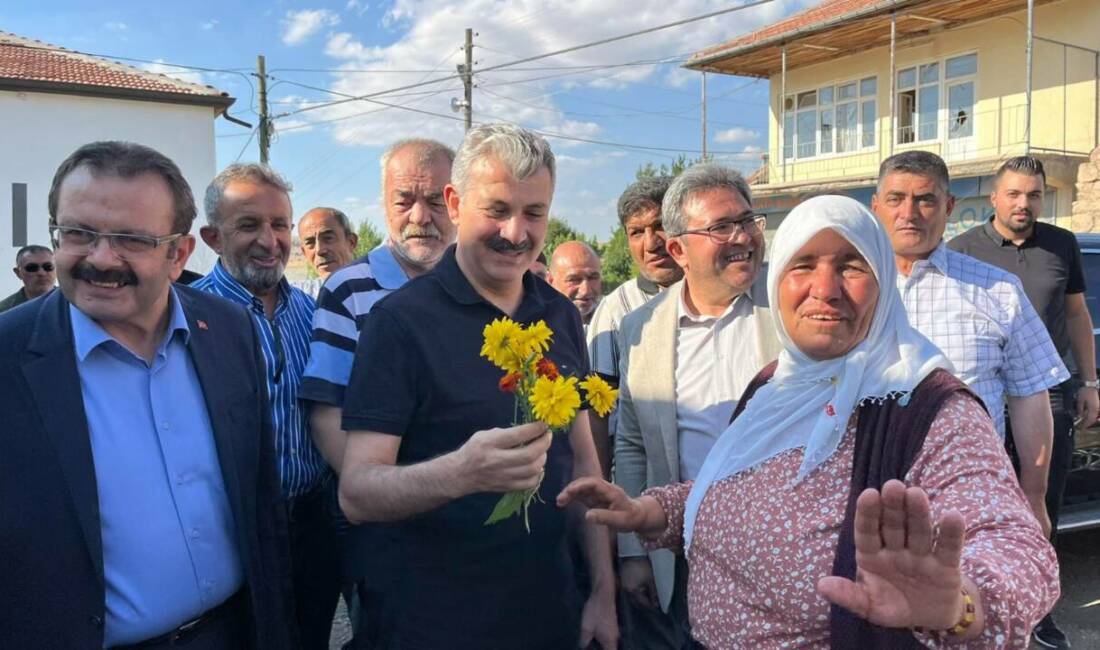 AK Parti Aksaray Milletvekili, Türkiye Büyük Millet Meclisi (TBMM) Plan