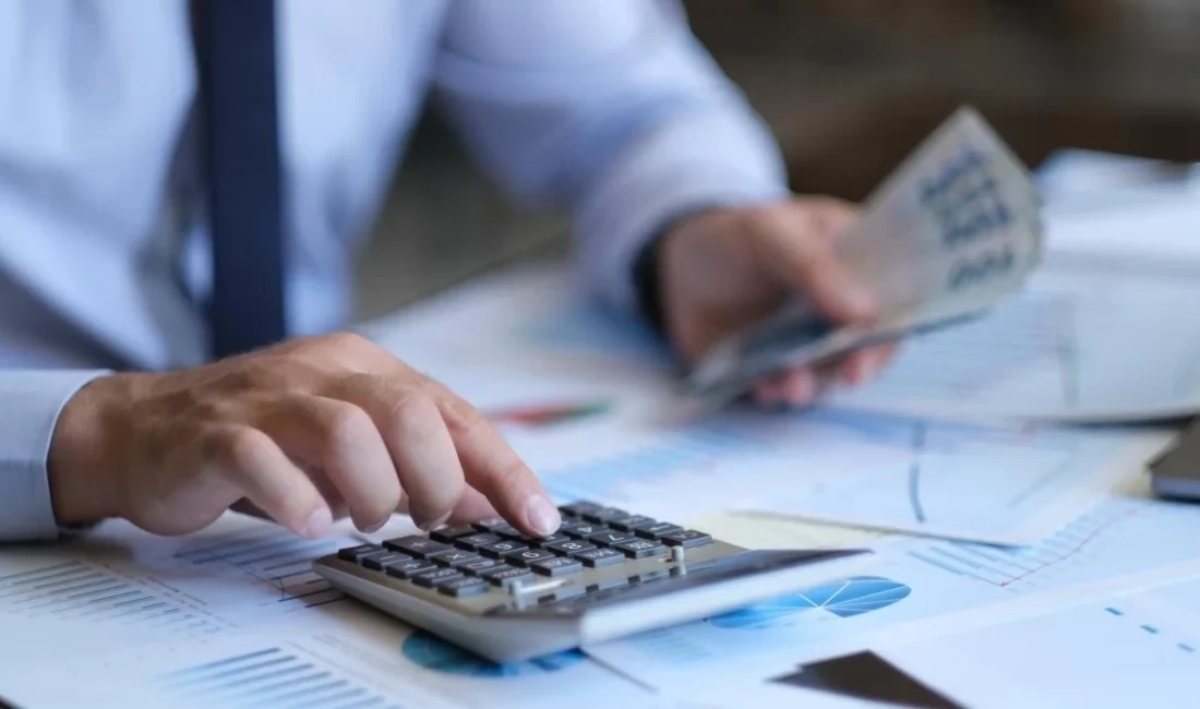 Türkiye İstatistik Kurumu (TÜİK) 2024 yılı mali aracı kuruluş istatistiklerini