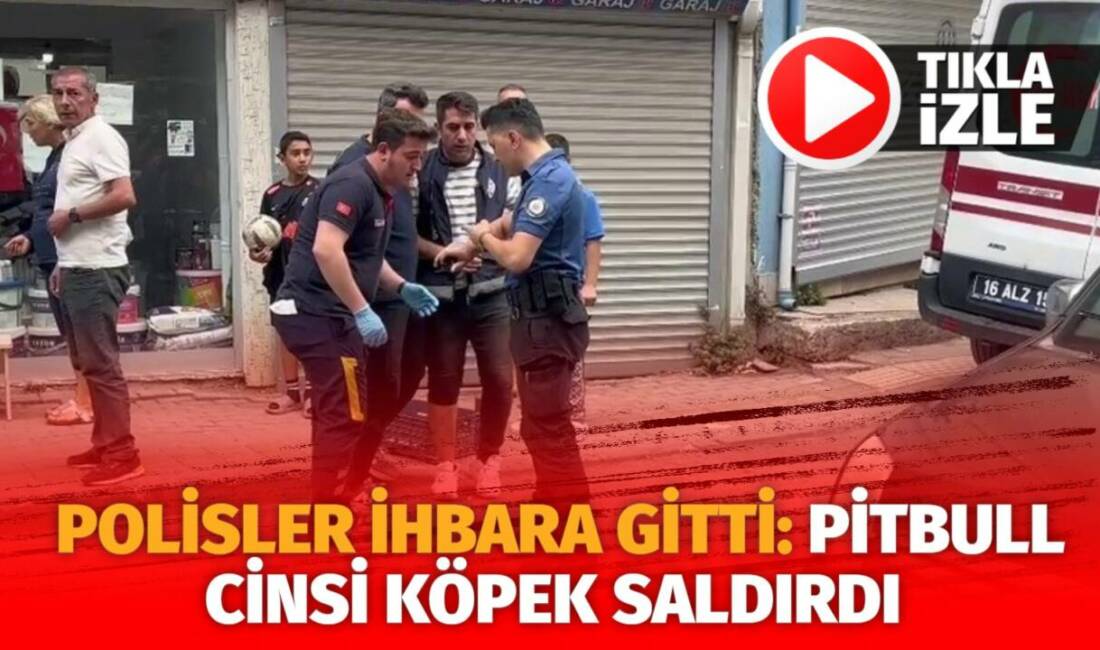 Bursa’nın Osmangazi ilçesinde yaşanan olayda polis ekipleri aile içi şiddet