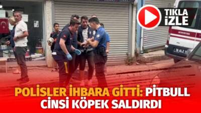 Bursa’nın Osmangazi ilçesinde yaşanan olayda polis ekipleri aile içi şiddet