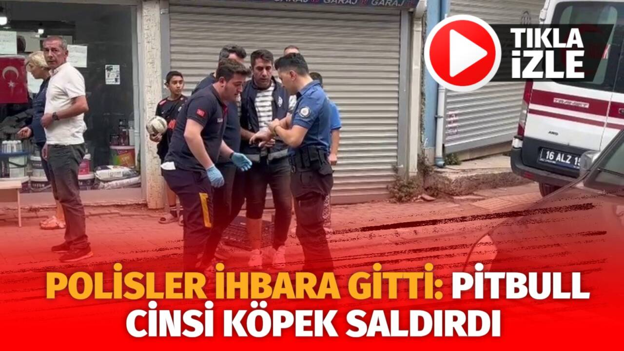 Bursa’nın Osmangazi ilçesinde yaşanan olayda polis ekipleri aile içi şiddet