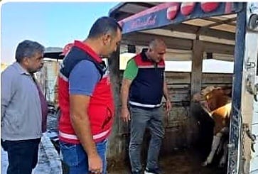 Aksaray’da 30 Haziran tarihinde, şap hastalığı nedeniyle geçici olarak hizmete