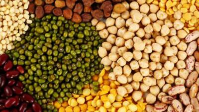 Türkiye İstatistik Kurumu tarım ürünleri üretici fiyat endeksinin 2025 yılı