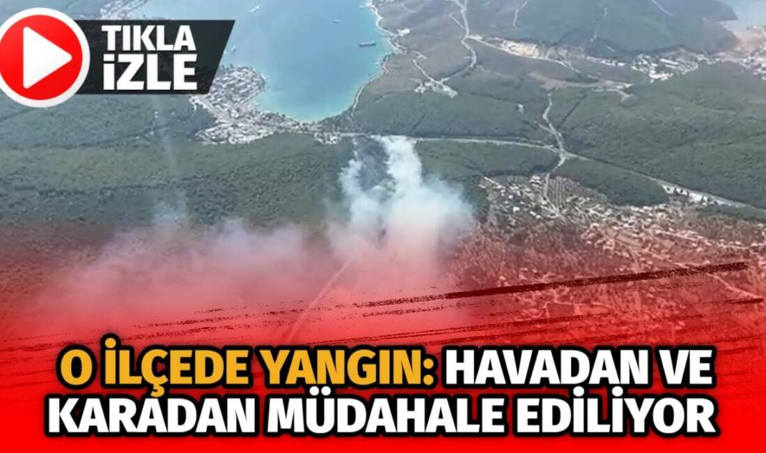  Muğla’nın Bodrum ilçesinde meydana gelen orman yangınına ekipler havadan ve