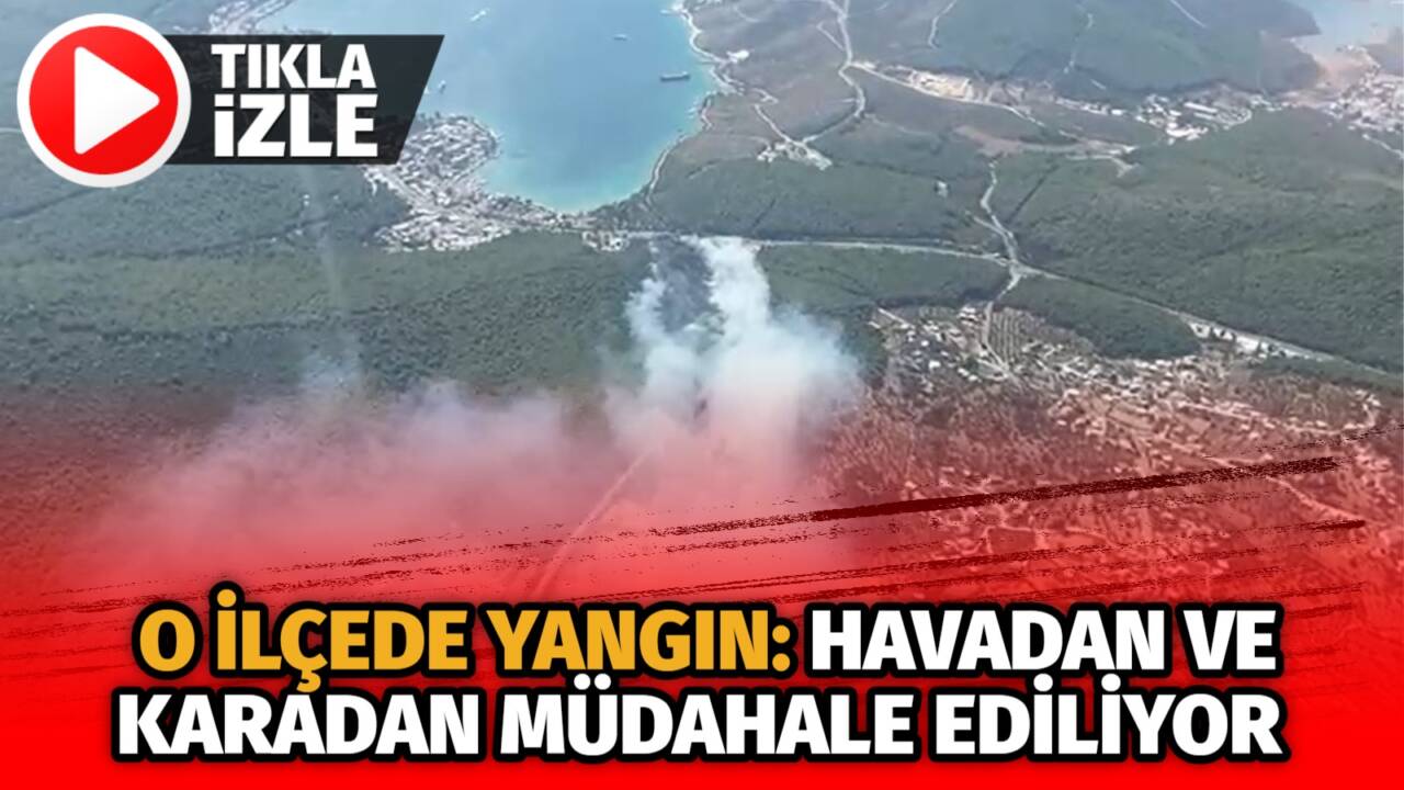  Muğla’nın Bodrum ilçesinde meydana gelen orman yangınına ekipler havadan ve