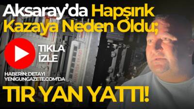 Aksaray-Adana yolunda köpeğe çarpmamak için manevra yapan tır sürücüsü yol