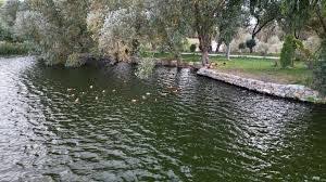 Gülağaç Belediyesi ve AKSOBDER iş birliğinde organize edilen ve bu