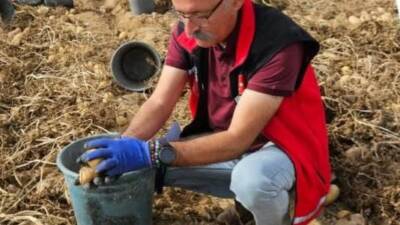 Aksaray İl Tarım ve Orman Müdürü Nejdet Demir, kentte tohumluk
