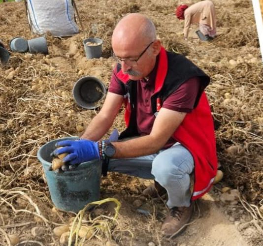 Aksaray İl Tarım ve Orman Müdürü Nejdet Demir, kentte tohumluk