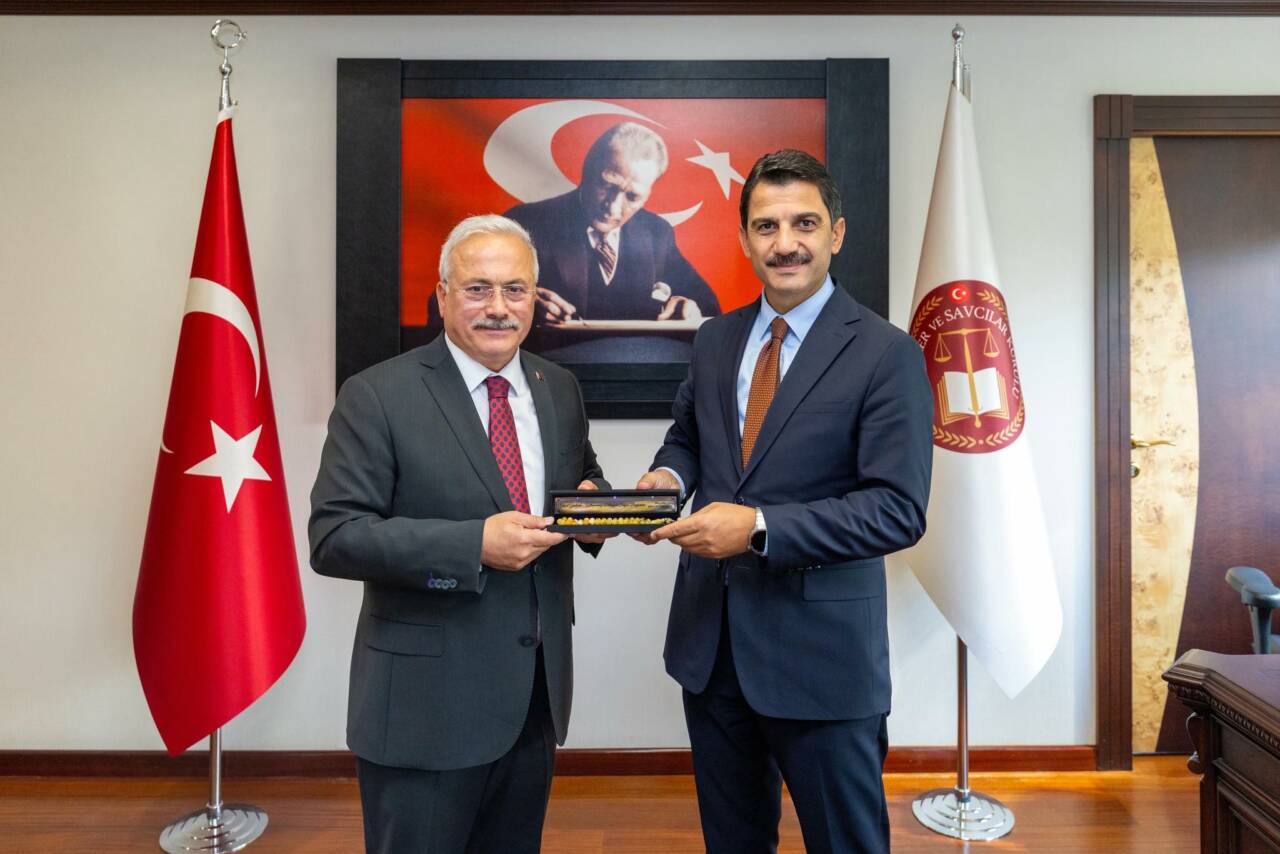 Aksaray Valisi Mehmet Ali Kumbuzoğlu, Hâkimler ve Savcılar Kurulu (HSK)