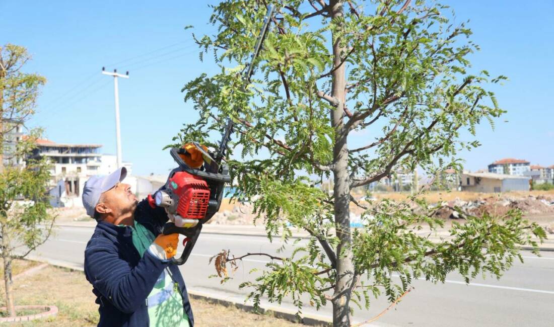 Aksaray Belediyesi, doğanın dengesini korumak ve şehrin yeşil alanlarını daha