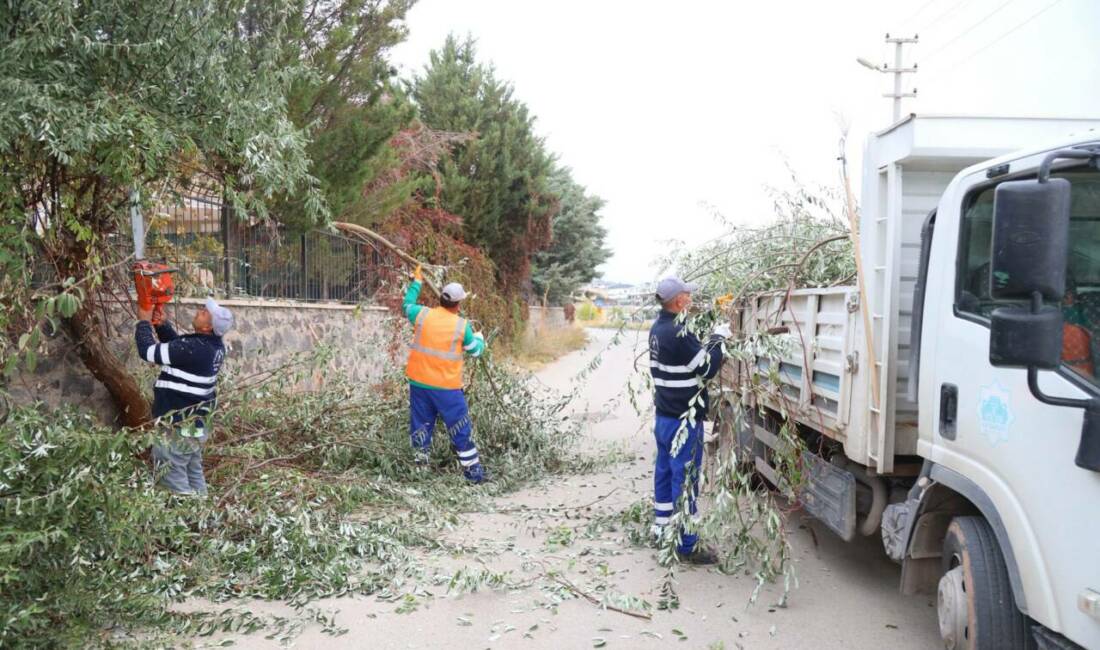Aksaray Belediyesi, şehirdeki yeşil alanların korunması ve estetik görünümün artırılması