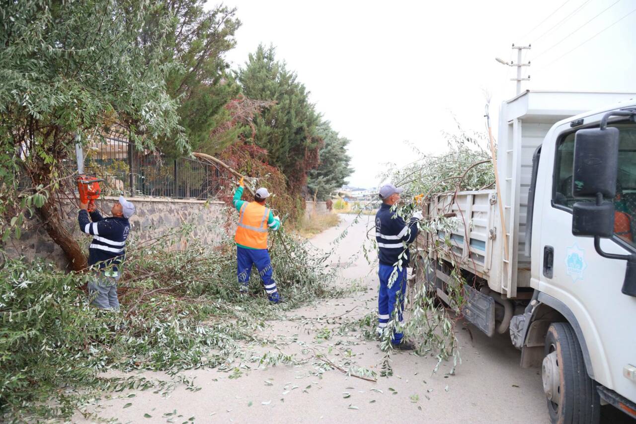 Aksaray Belediyesi, şehirdeki yeşil alanların korunması ve estetik görünümün artırılması