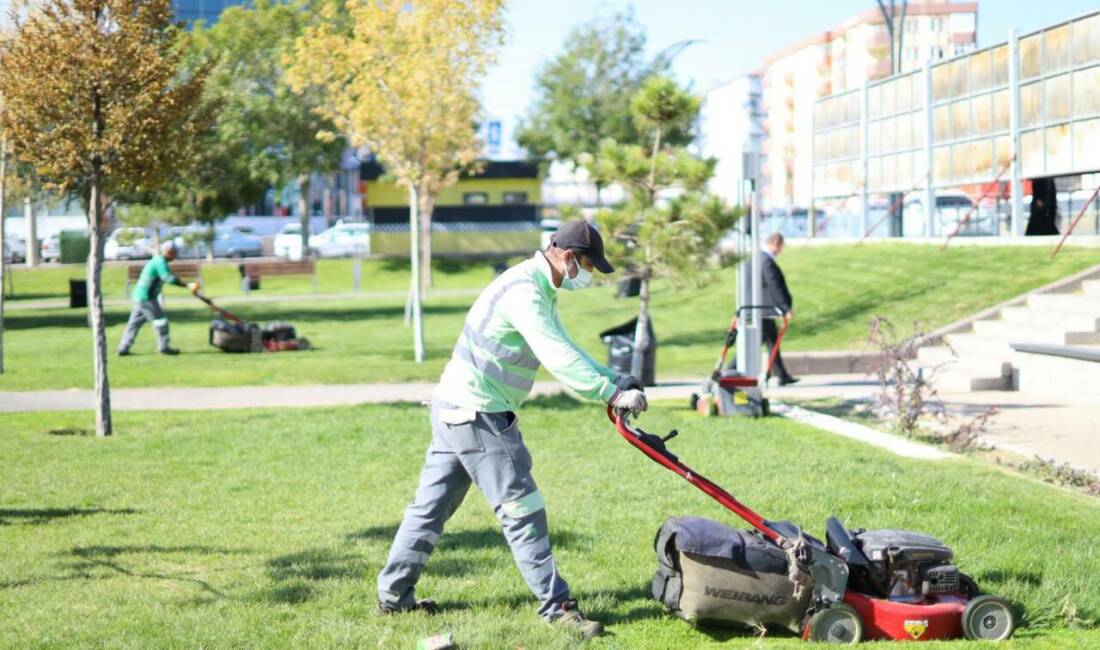 Aksaray Belediyesi ekipleri, Selçuklu Parkı’nda peyzaj düzenleme, çim biçme ve