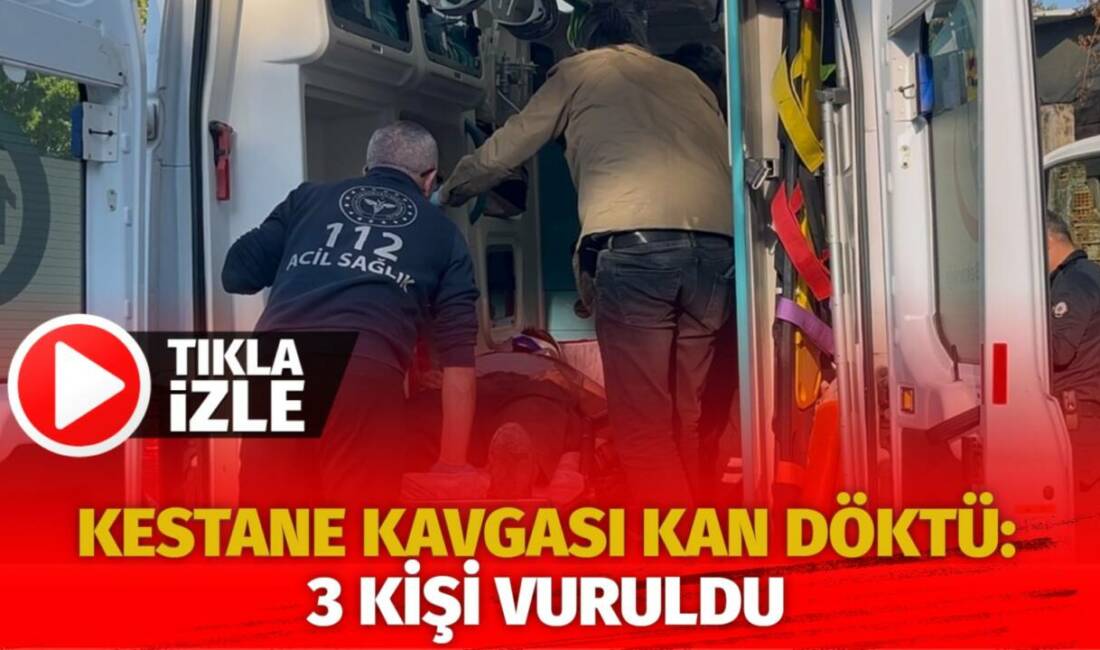 Bursa'da kestane toplamak için Uludağ'a çıkan grup ile arazi sahipleri