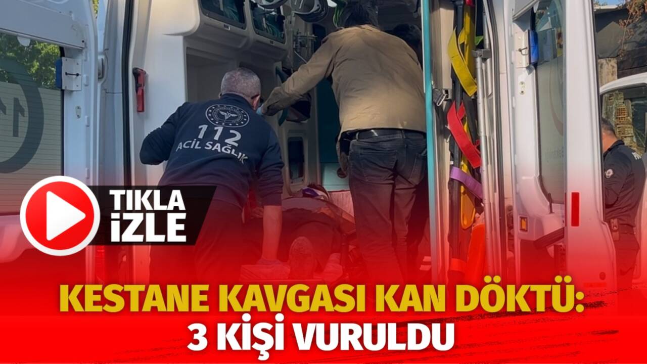 Bursa'da kestane toplamak için Uludağ'a çıkan grup ile arazi sahipleri