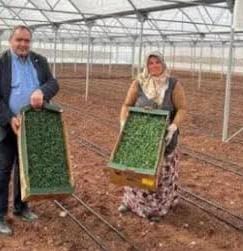 Aksaray Ziraat Odası Başkanı Emin Koçak, 15 Ekim Dünya Kadın