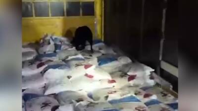 Karaman'da İl Emniyet Müdürlüğü ekipleri tarafından yapılan operasyonda kullandığı tırda
