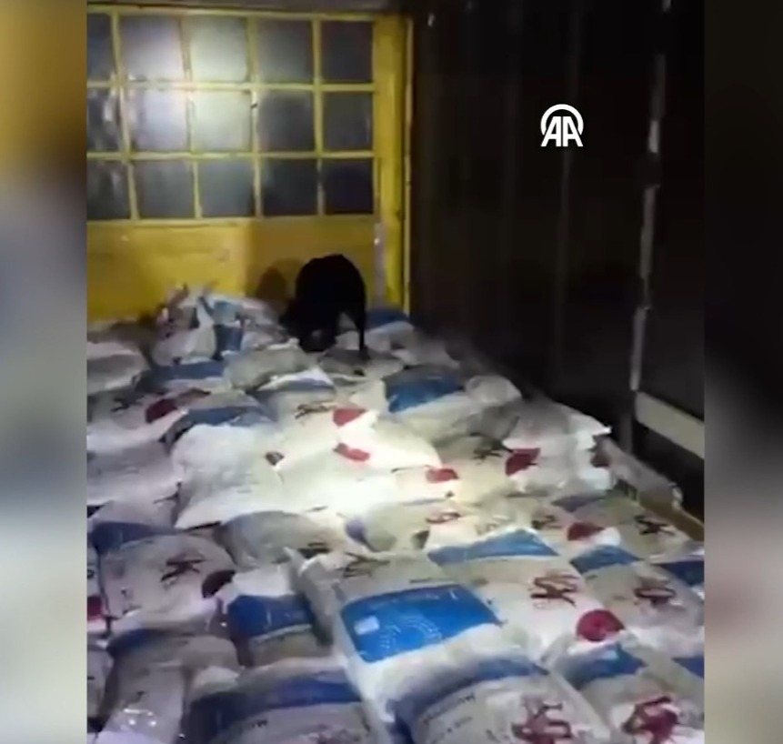 Karaman'da İl Emniyet Müdürlüğü ekipleri tarafından yapılan operasyonda kullandığı tırda