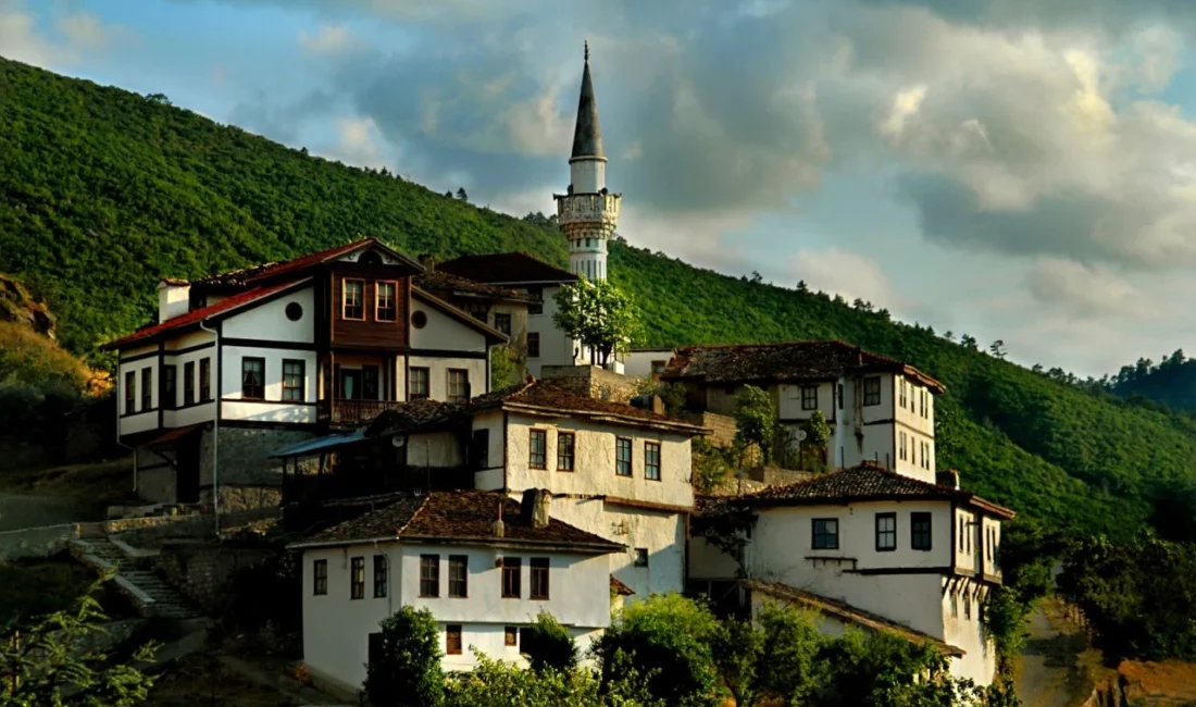 Kültür ve Turizm Bakanı Mehmet Nuri Ersoy, Birleşmiş Milletler (BM)