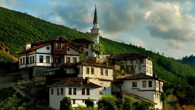Kültür ve Turizm Bakanı Mehmet Nuri Ersoy, Birleşmiş Milletler (BM)