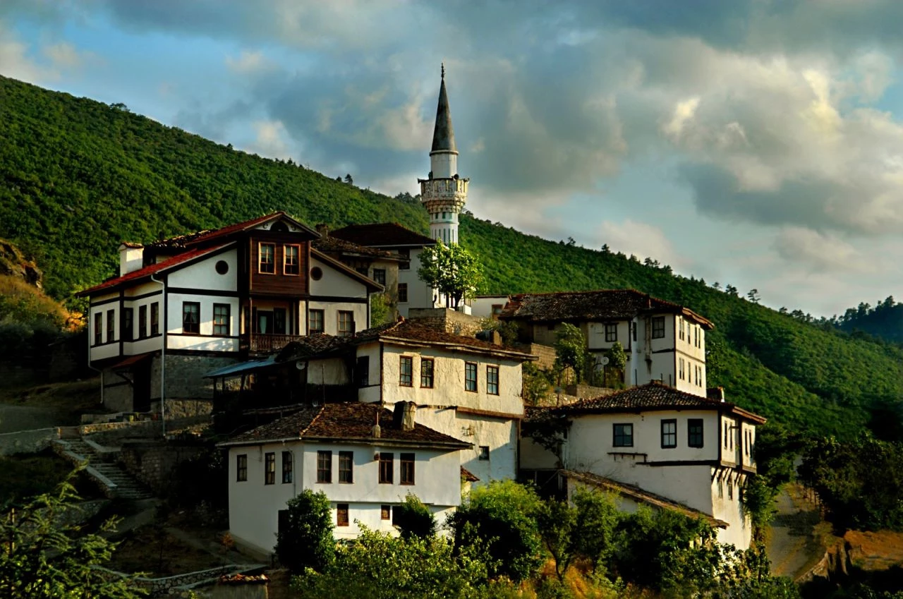 Kültür ve Turizm Bakanı Mehmet Nuri Ersoy, Birleşmiş Milletler (BM)