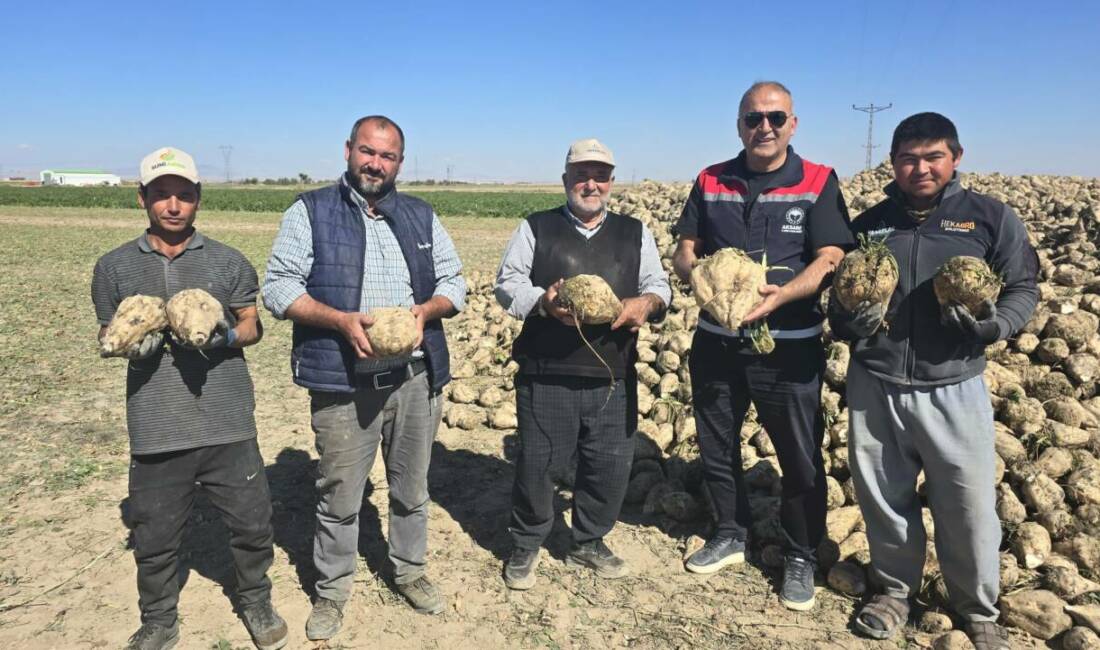İl Tarım Müdürü Nejdet Demir, Yenikent’te şekerpancarı hasadına katılarak üreticilerle