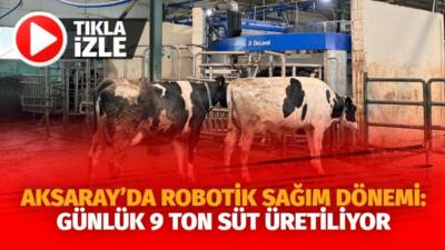 Aksaray’da modern hayvancılık işletmesinde robotik sağım sistemiyle inekler ödül yemle
