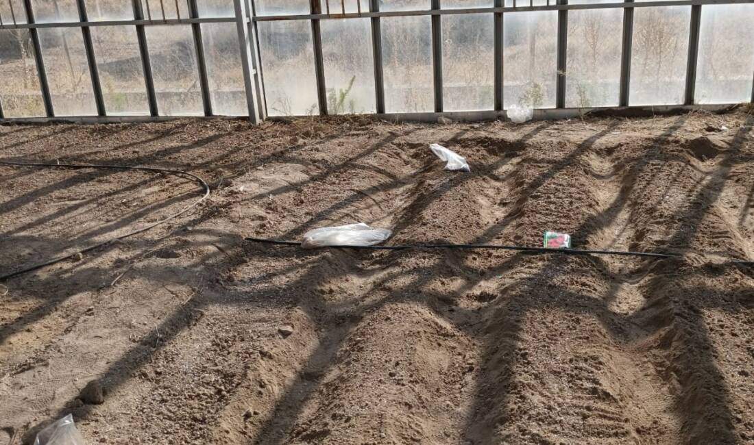 Aksaray Üniversitesi Güzelyurt Meslek Yüksekokulu’na ait serada, Bitki Koruma Programı