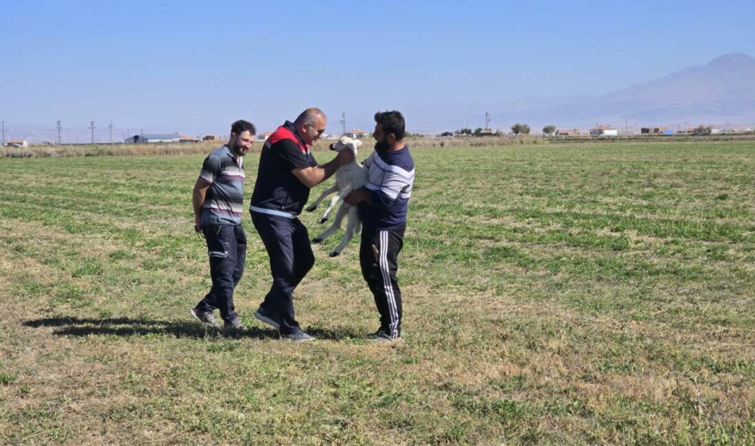 İl Tarım Müdürü Nejdet Demir, Yenikent’te çobanlarla bir araya gelerek
