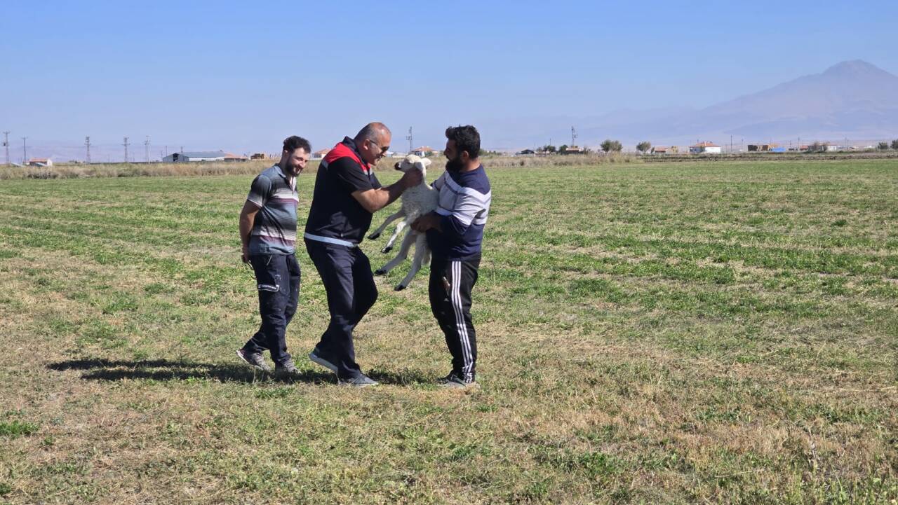 İl Tarım Müdürü Nejdet Demir, Yenikent’te çobanlarla bir araya gelerek
