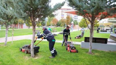 Aksaray Belediyesi, şehrin önemli yeşil alanlarından biri olan Tematik Park’ta