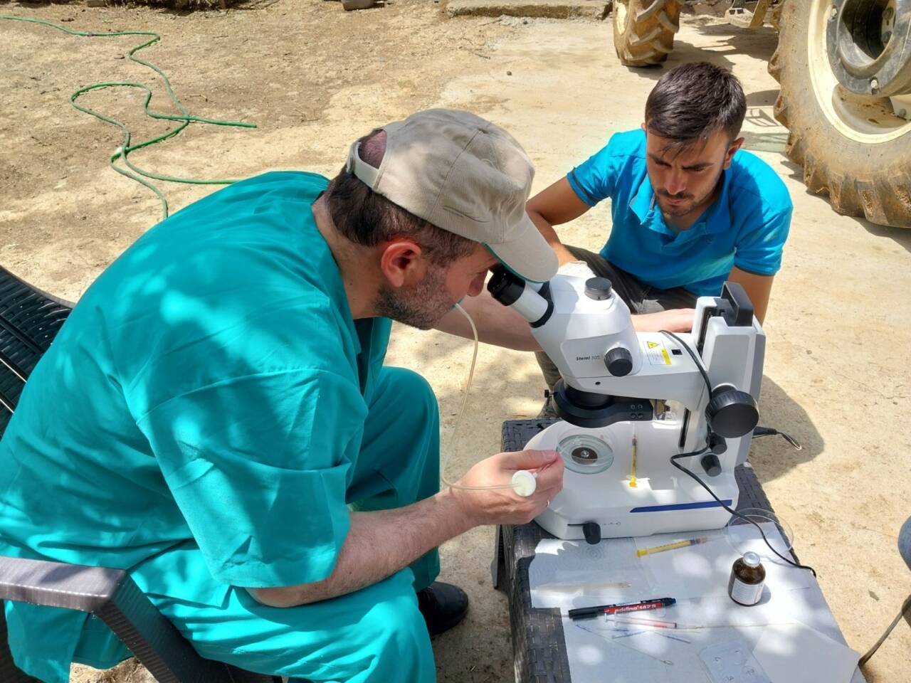 Aksaray Üniversitesi öncülüğünde yürütülen çalışma kapsamında  genetik düzenleme yapılan embriyoların