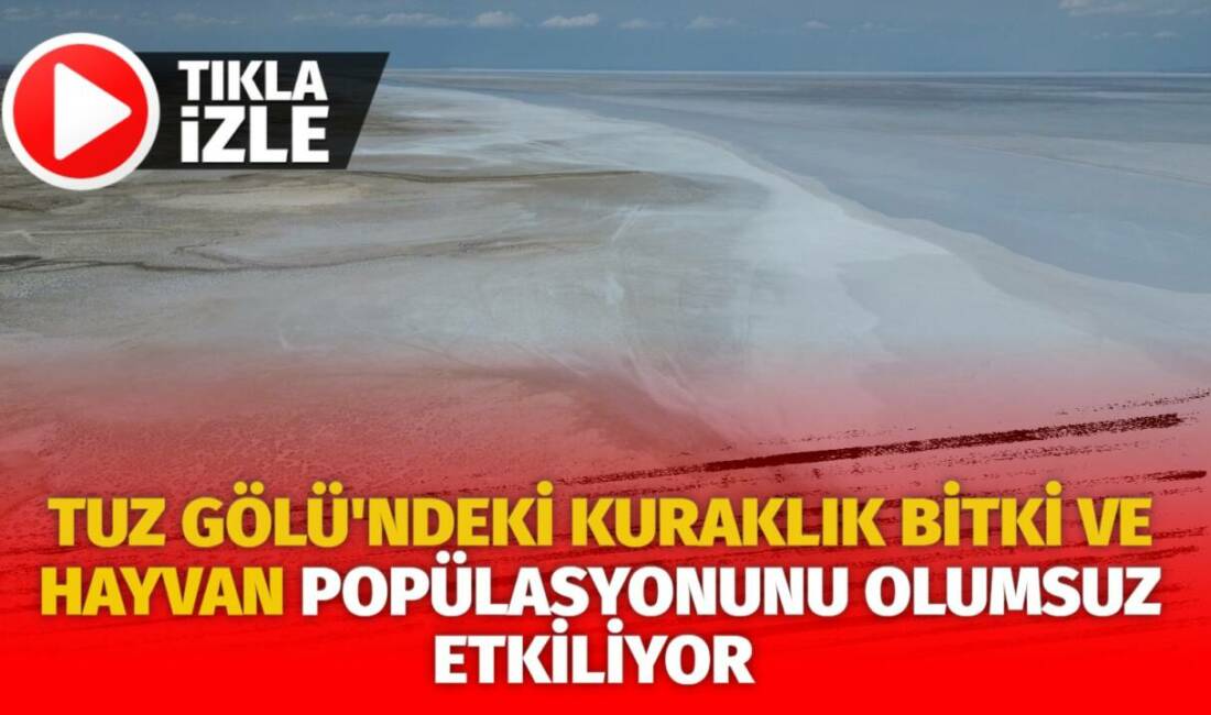 Tuz Gölü'nde meydana gelen kuraklık, bitki ve hayvan popülasyonunu