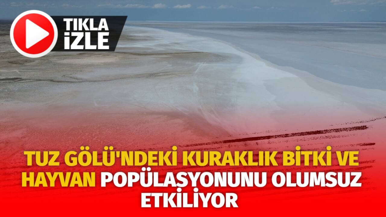 Tuz Gölü'nde meydana gelen kuraklık, bitki ve hayvan popülasyonunu