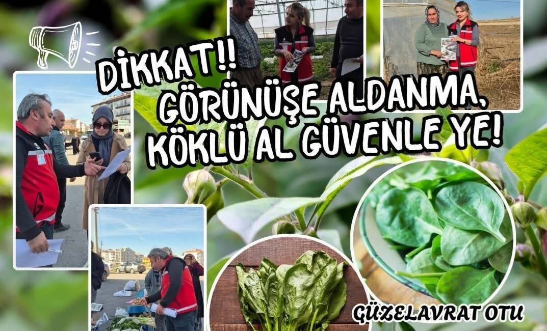 Ekipler, pazarda ve tarlada üreticiyle buluşarak Güzelavrat otu tehlikesine karşı