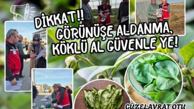 Ekipler, pazarda ve tarlada üreticiyle buluşarak Güzelavrat otu tehlikesine karşı