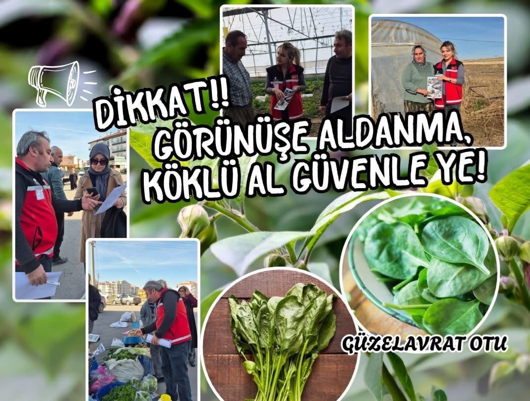 Ekipler, pazarda ve tarlada üreticiyle buluşarak Güzelavrat otu tehlikesine karşı