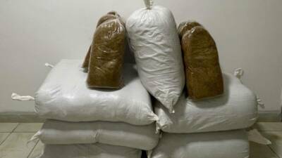 Kırşehir'de İl Jandarma Komutanlığı tarafından durdurulan yolcu otobüsünde 230 kilogram