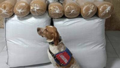 Kırşehir'de İl Jandarma Komutanlığı tarafından durdurulan yolcu otobüsünde 400 kilogram