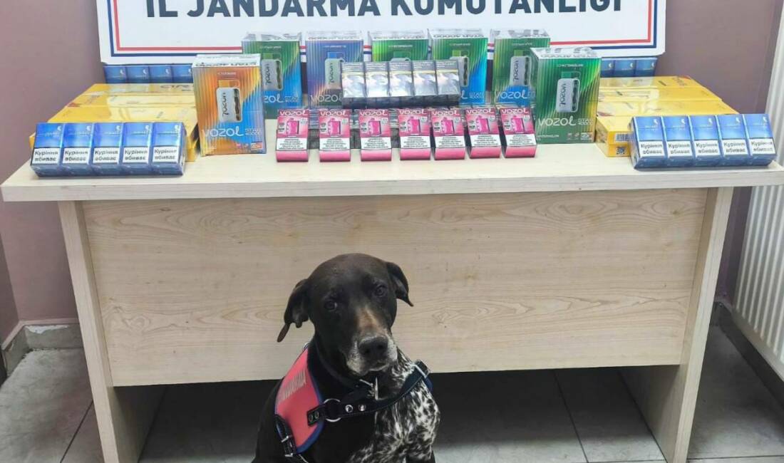 Kayseri'de İl Jandarma Komutanlığı tarafından düzenlenen kaçakçılık operasyonunda 2 şüpheli